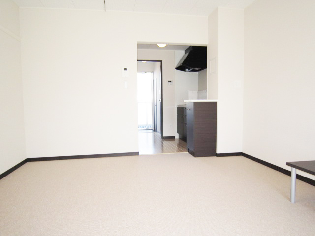 レオネクストリバーサイド柏原 その他14