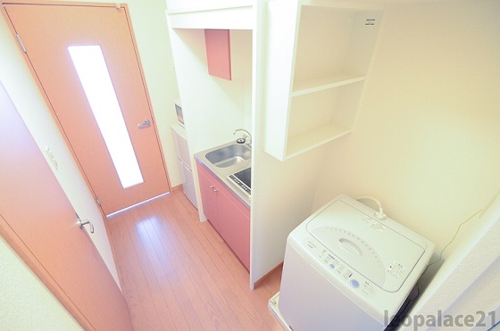 レオパレスプラスパ平田 その他12