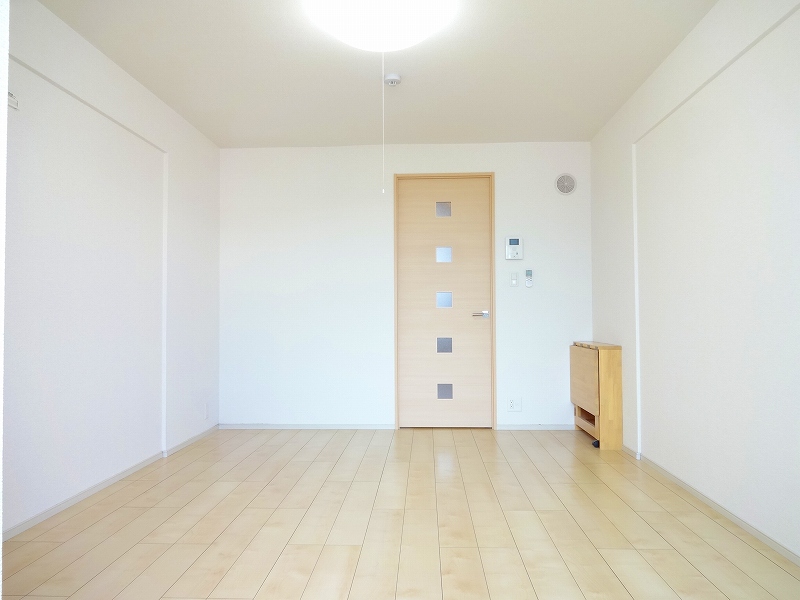 サウス　ピュア その他1