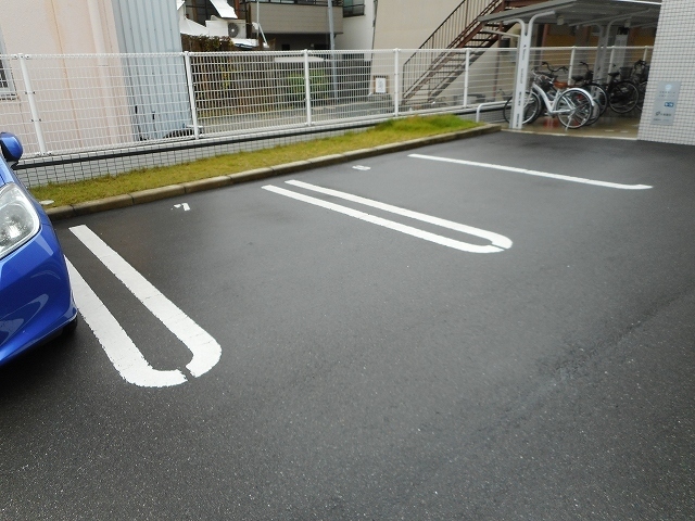 サウス　ピュア その他2