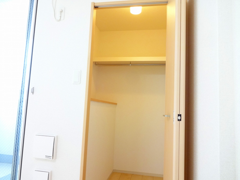 サウス　ピュア その他3