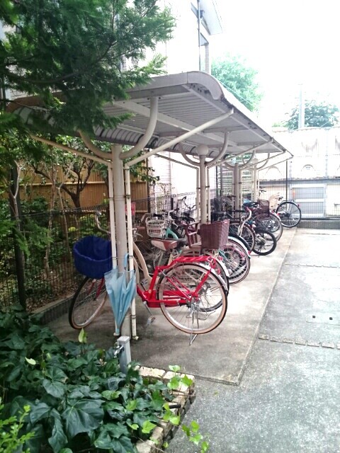 プリムローズ その他3