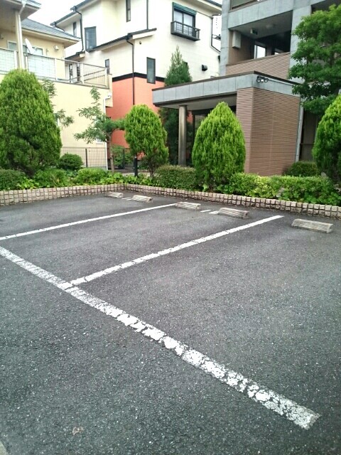 プリムローズ その他5