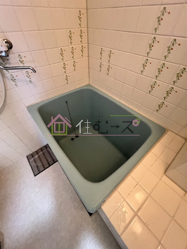 PALMIZIO平野西2 風呂画像