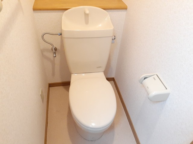 シンコ・コスモス その他2