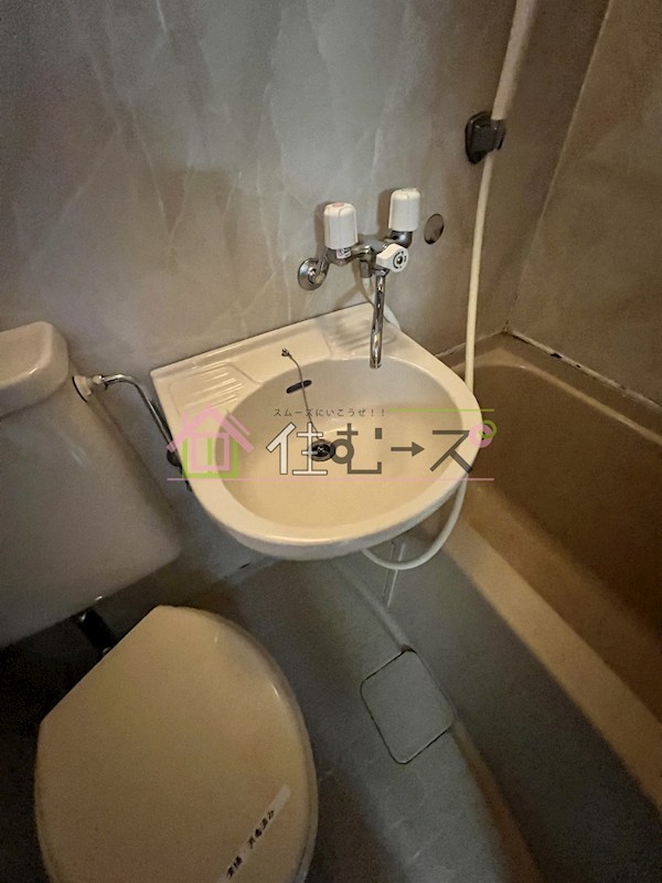 シロハイヌ新大阪 その他2