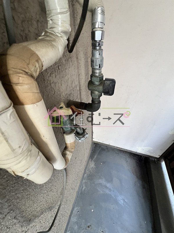 シロハイヌ新大阪 その他5