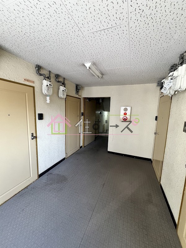 シロハイヌ新大阪 その他外観5