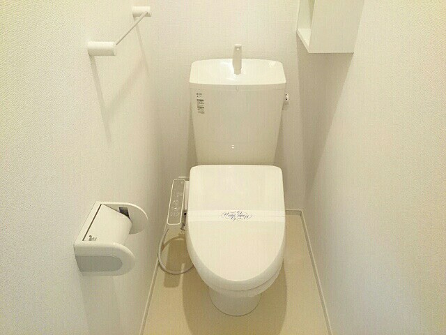 カ－サプラシ－ド その他2