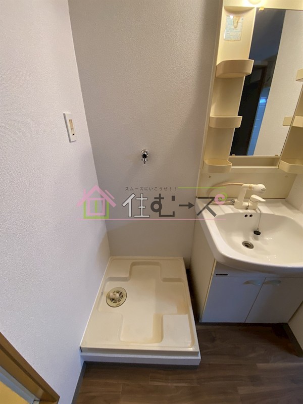 ヴェルドミール その他6