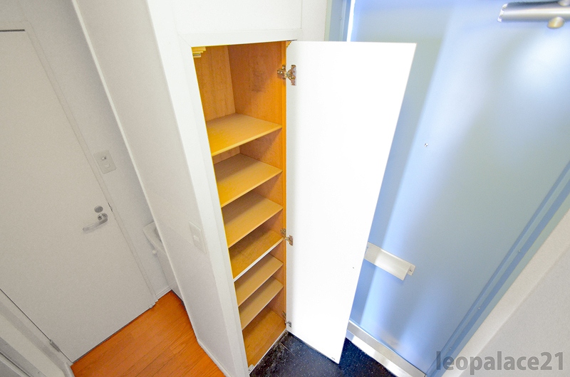 レオパレスルピナス 玄関