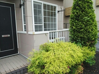 ポプラーレＰａｒｔⅢ その他6