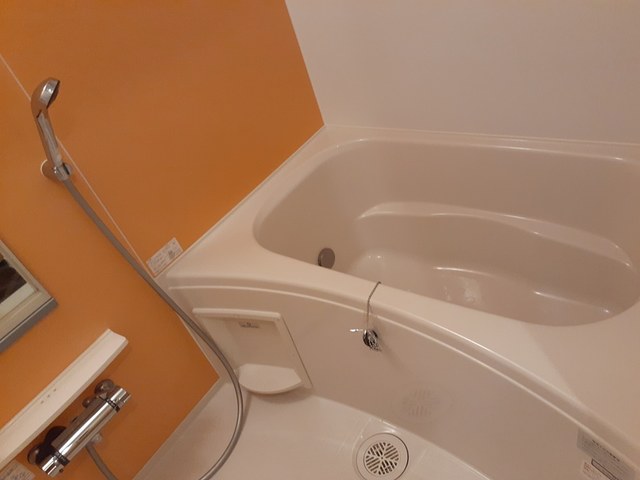 ブリュッケ　ブーフ 風呂画像