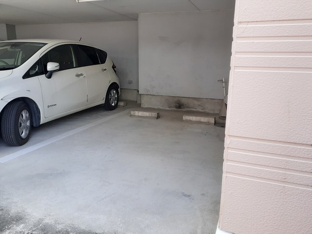 シャルマン その他7