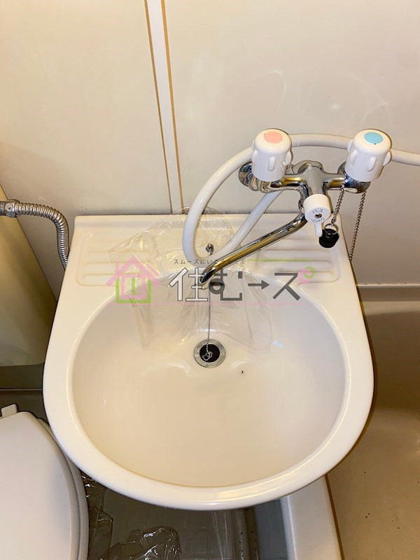 ラパンジール大国4 その他3