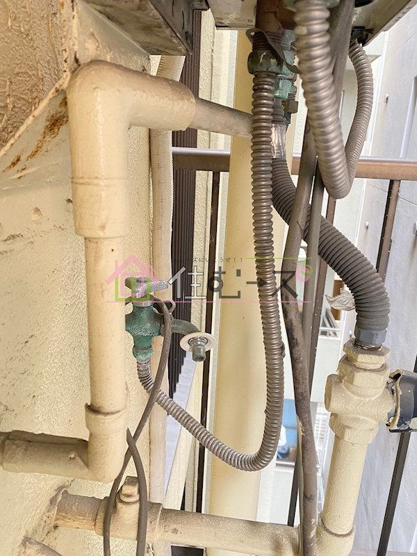 ラパンジール大国4 その他6