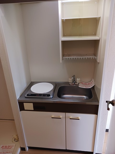 ドミールミノオ キッチン