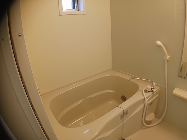 メゾン　バルーンフラワー 風呂画像