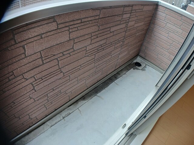 メゾン　バルーンフラワー ベランダ