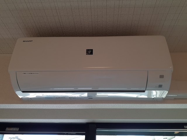 ココ　シュシュ その他3