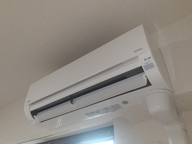 ソレアード・ニシキ　Ⅱ その他3