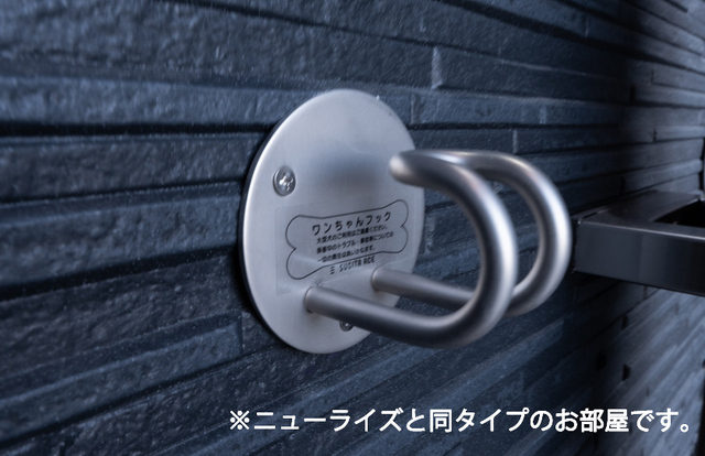 サンスーシィ その他1