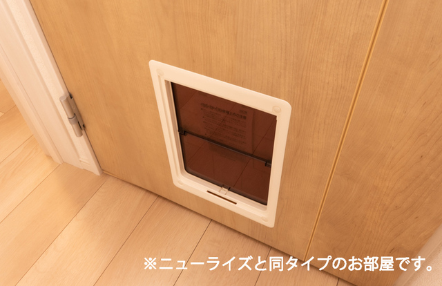 サンスーシィ その他1