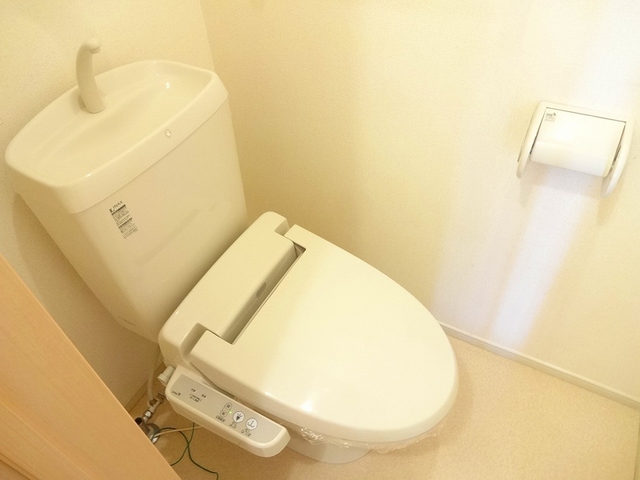 エルベラン　ソラ その他2