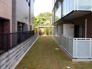 レオネクストイーエフⅢ その他6