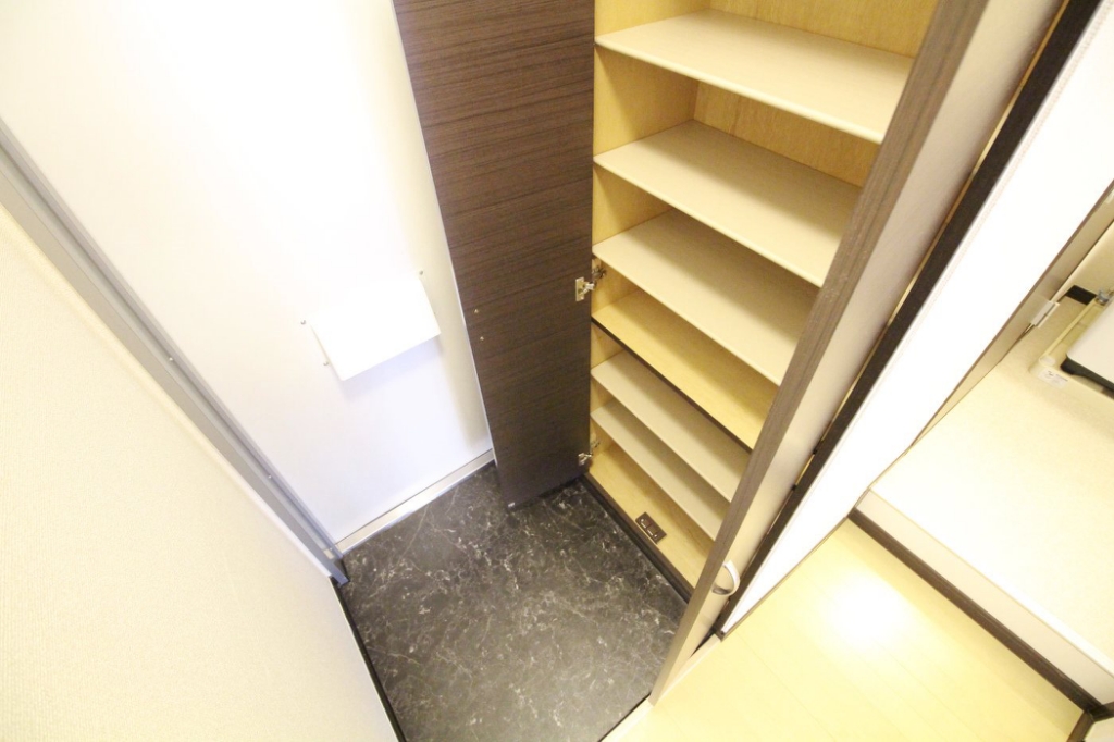 レオネクストイーエフⅢ 玄関