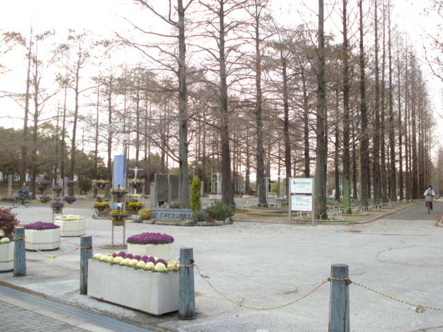 帆凪～ＨＯＮＡＧＩ～ その他17