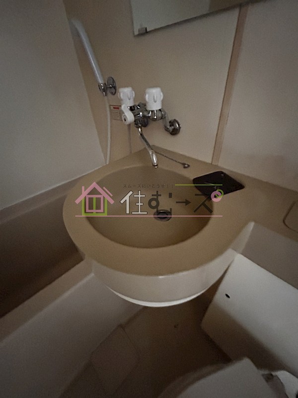 ルネッサンスルイード その他4