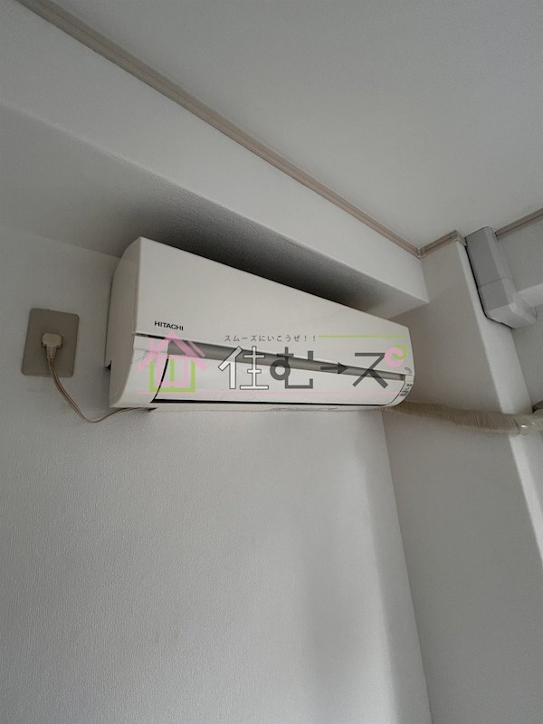 ルネッサンスルイード その他5