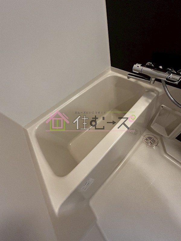 レジュールアッシュザ・パークフロント 風呂画像