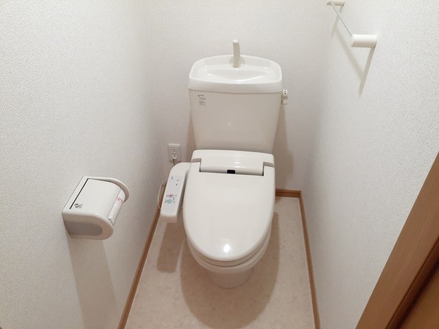 プラシード その他2