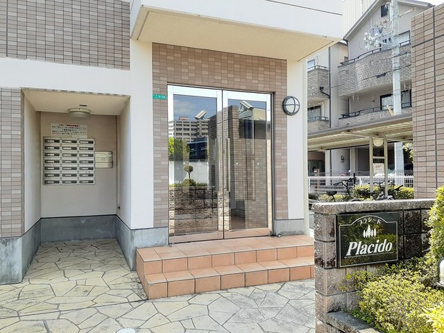 プラシード その他3