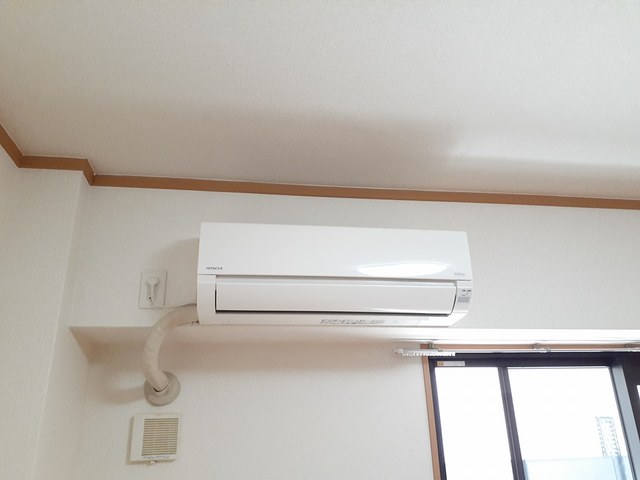 プラシード その他6