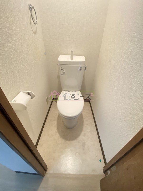 Sun corpo その他4