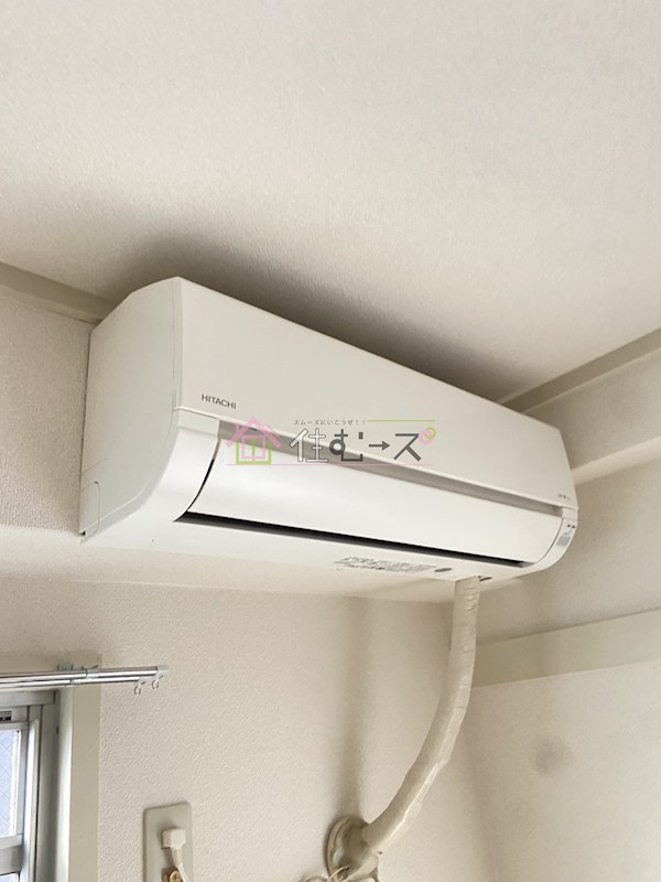 Sun corpo その他6