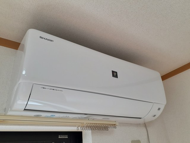 ナーシサス その他1