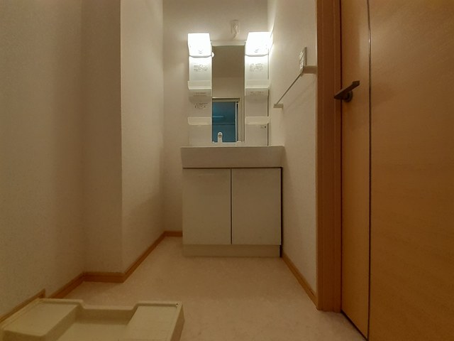 ストレリチア・オ－ガスタ その他1