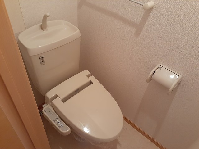 ストレリチア・オ－ガスタ その他2