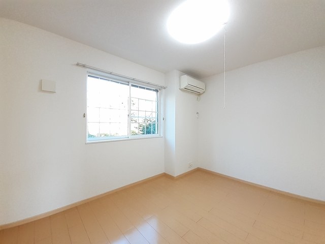 ストレリチア・オ－ガスタ その他3