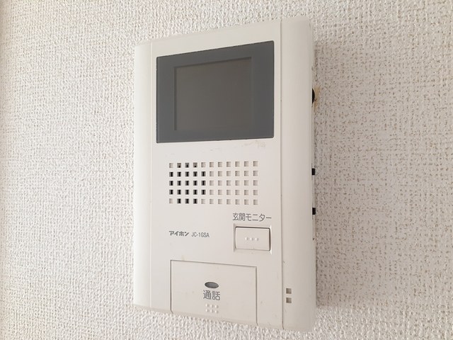 ストレリチア・オ－ガスタ その他5