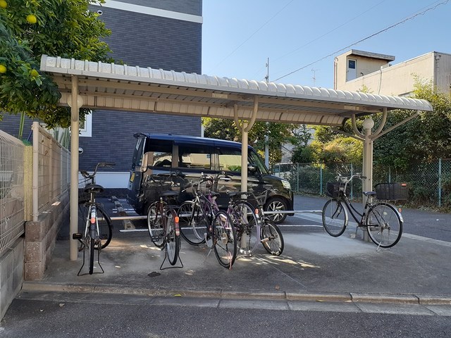 ストレリチア・オ－ガスタ その他7