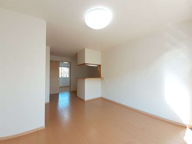 ストレリチア・オ－ガスタ リビング