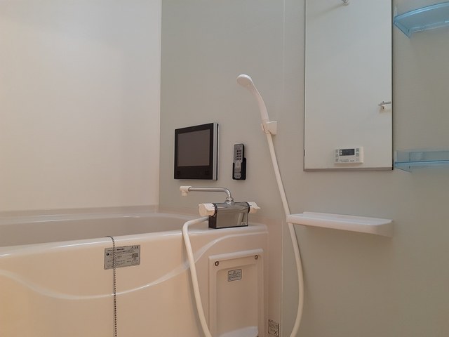 ストレリチア・オ－ガスタ 風呂画像