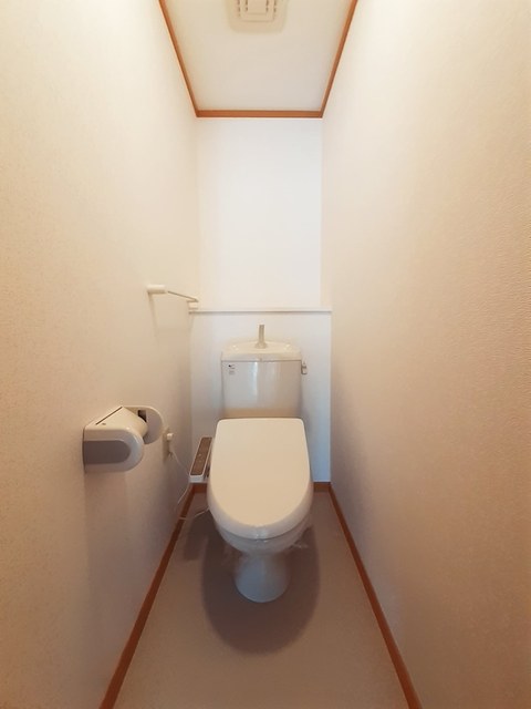 フォレスタフィウ－メ その他4