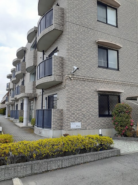 フォレスタフィウ－メ その他6