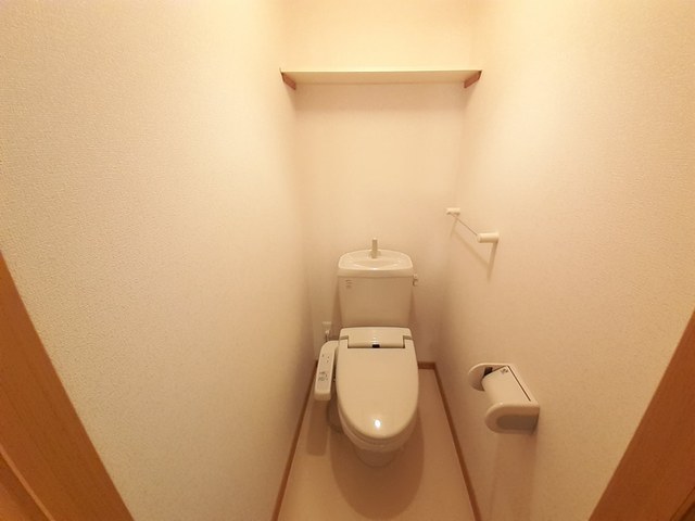 プラシード その他2